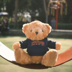 【預購至4/13，5/22陸續出貨】NTPU帽T微笑小熊