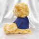 【團購商品,10隻起做】NTPU微笑小熊_藍 【團購商品,10隻起做】NTPU微笑小熊_藍
